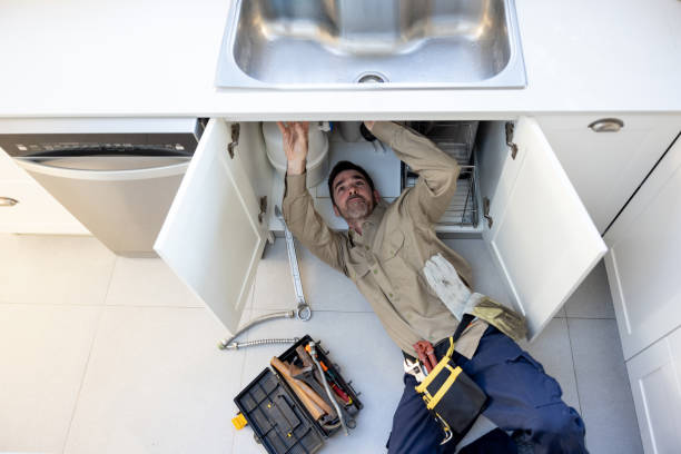 Best Toilet Repair Services  in Ricardo, TX