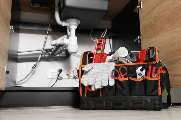 Best Plumbing Services Near Me  in Ricardo, TX
